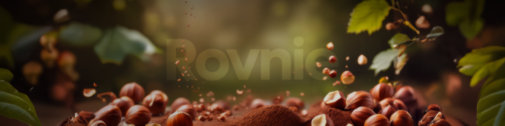 Banner Görseli